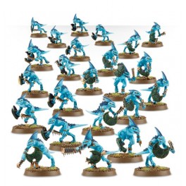 SERAPHON SKINKS