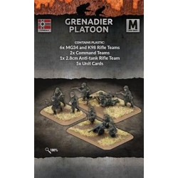 Grenadier Platoon (40 figs Plastic)