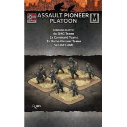 Assault Pioneer Platoon (40 figs Plastic)