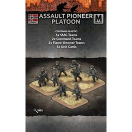 Assault Pioneer Platoon (40 figs Plastic)