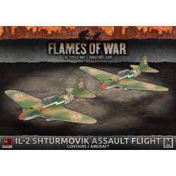 IL-2 Shturmovik Assault Flight