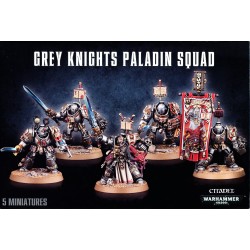 GREY KNIGHTS PALADIN SQUAD