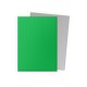 Dragon Shield Standard Sleeves Matte Dual - Apple Green & Silver