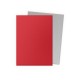 Dragon Shield Standard Sleeves Matte Dual - Crimson & Silver