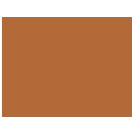 ORANGE BROWN (131)