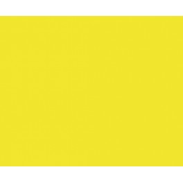 LEMON YELLOW (11)