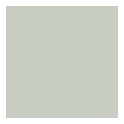 GREY GREY (106)