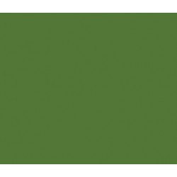 UNIFORM GREEN (84)